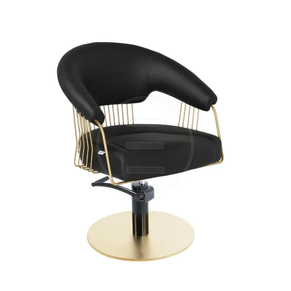 Elite Color Gold Sl Gold Styling Chair (1)