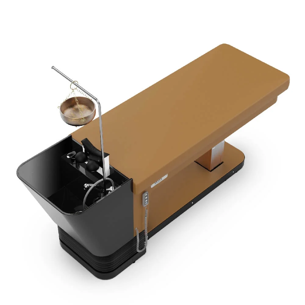 Scafa Hair Spa / Unitate spalat pat Pietranera Karisma Zen Wash LIFT - imagine 6